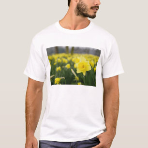 T-shirts Narcisos (RF)
