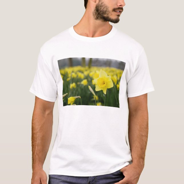 T-shirts Narcisos (RF) (Frente)