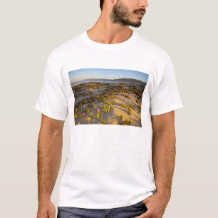 T-shirts Nascer do sol ilumina as dunas de areia e a figuei