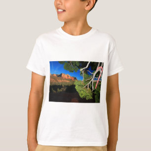 T-shirts Natal do sudoeste