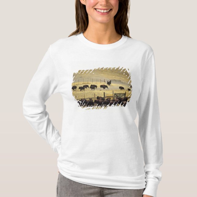 T-shirts National Bison Range Roundup em Montana (Frente)
