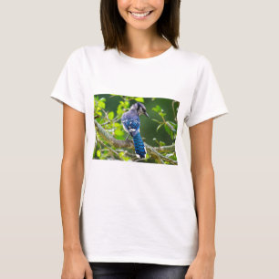 T-shirts Natureza Fotografia Shy Blue Jay Roupa presente