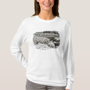 T-shirts Neve no Jardim Japonês de Portland,