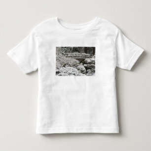 T-shirts Neve no Jardim Japonês de Portland,
