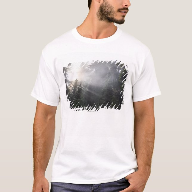 T-shirts Névoa & feixes de Sun em uma floresta de (Frente)