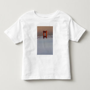 T-shirts Nevoeiro rola pela baía de São Francisco cobrindo 