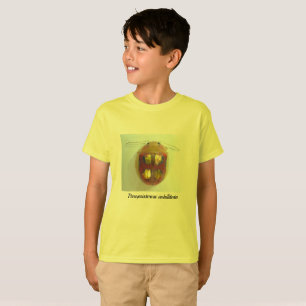 T-shirts Nobilitata de Paropsisterna, besouro de folha