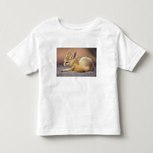 T-shirts Norte da África. Feneco Fennecus zerda)