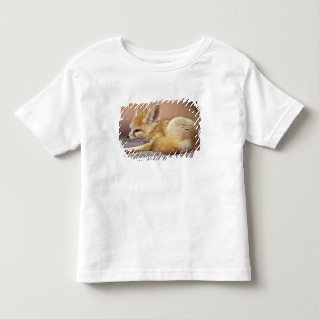 T-shirts Norte da África. Feneco Fennecus zerda) (Frente)