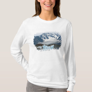 T-shirts Noruega, Geleira em Recuo e iceberg