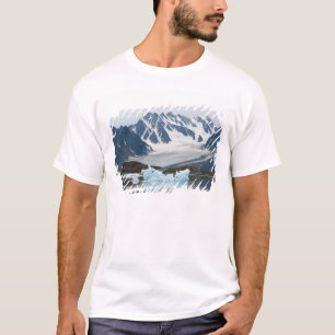 T-shirts Noruega, Geleira em Recuo e iceberg