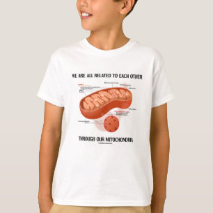 T-shirts Nós todos somos relacionados através das