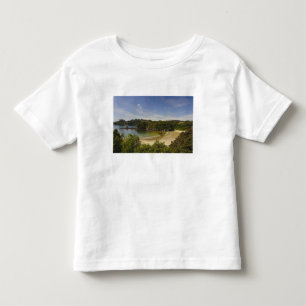 T-shirts Nova Zelândia, Southland, Ilha Stewart, Halfmoon