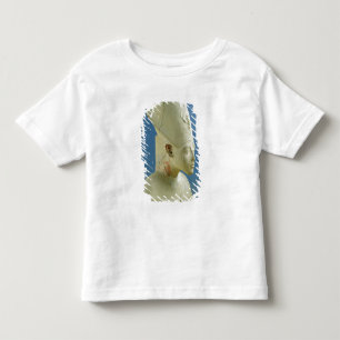 T-shirts O busto de Amenophis IV de diz EL-Amarna