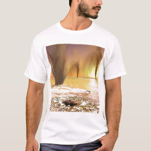 T-shirts O calote polar polar sul marciano