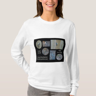 T-shirts O composto Downy do pica-pau representa artigos