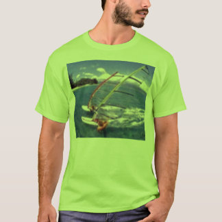 T-shirts o dobro tomou partido windsurf