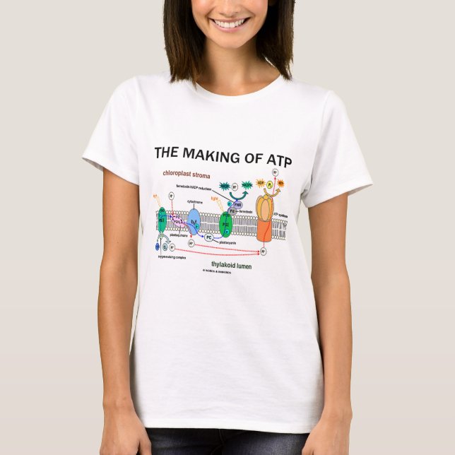 T-shirts O fazer de ATP (atitude fotossintética) (Frente)