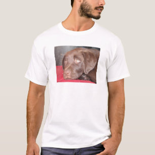 T-shirts O filhote de cachorro de Labrador do chocolate