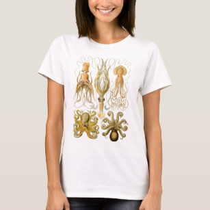 T-shirts O Gamochonia de Ernst Haeckel
