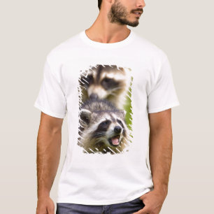 T-shirts O guaxinim, Procyon lotor, é um mamífero amplament