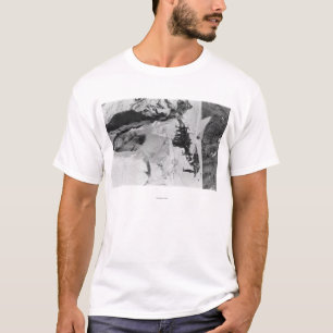 T-shirts O Monte Rainier, montanhistas da geleira de WA