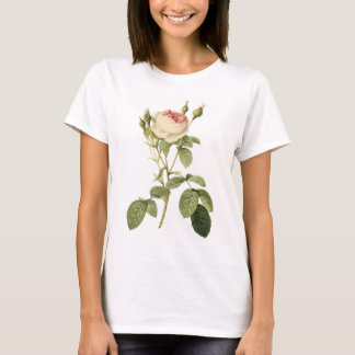 T-shirts o musgo dobro aumentou por Redouté