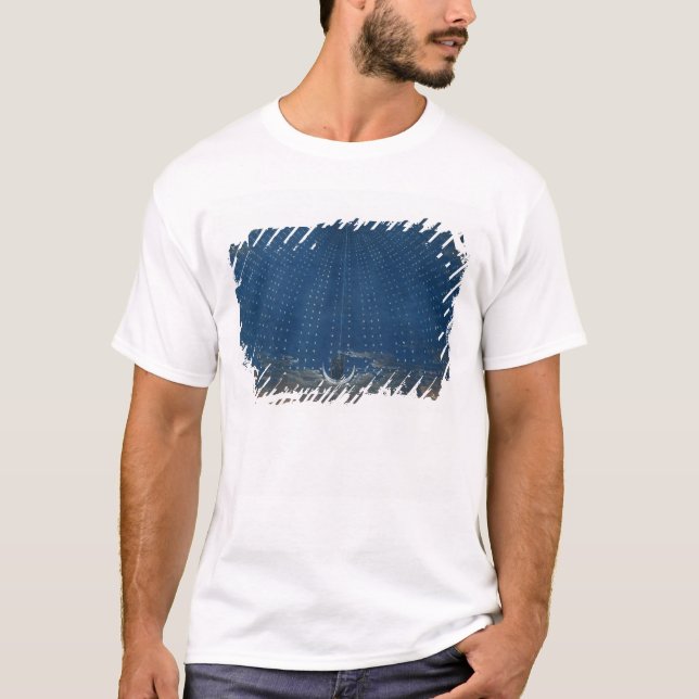 T-shirts O palácio da rainha da noite (Frente)
