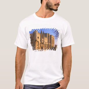 T-shirts O Palácio do Papa em Avinhão com pessoas