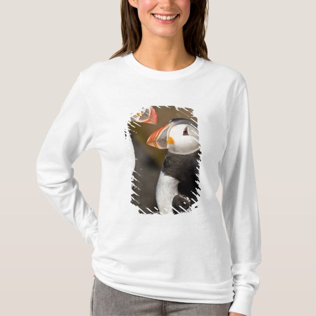T-shirts O Papagaio-do-mar (Frente)