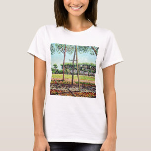 T-shirts O pinho novo 2009