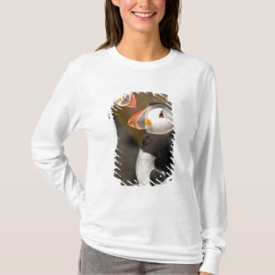T-shirts O Puffin Atlântico