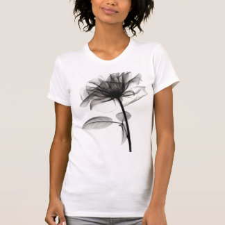 T-shirts O raio X de aumentou