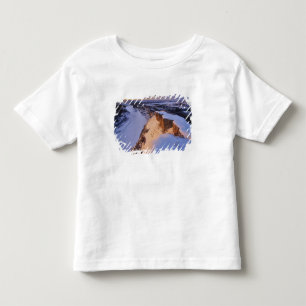 T-shirts O Rio Little Missouri no inverno em