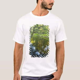 T-shirts O rio Taunton em Bridgewater,