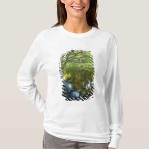 T-shirts O rio Taunton, em Bridgewater,