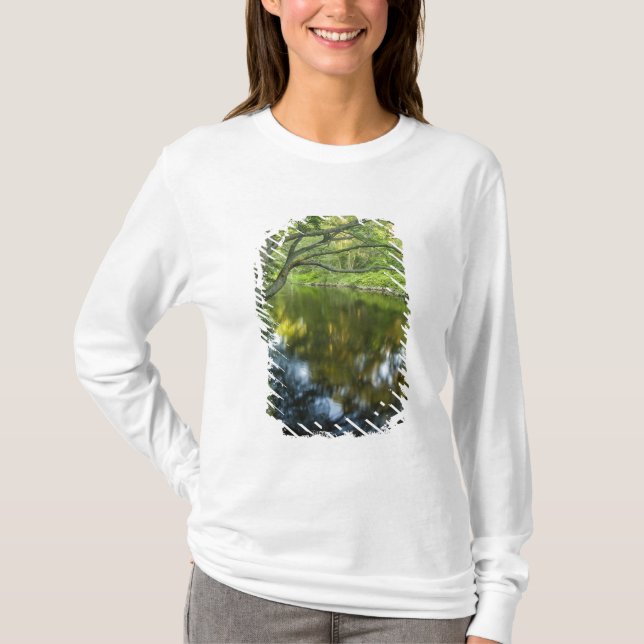 T-shirts O rio Taunton em Bridgewater, (Frente)