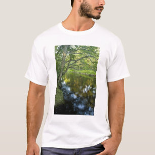 T-shirts O rio Taunton, em Bridgewater,