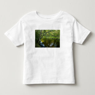 T-shirts O rio Taunton em Bridgewater, 2
