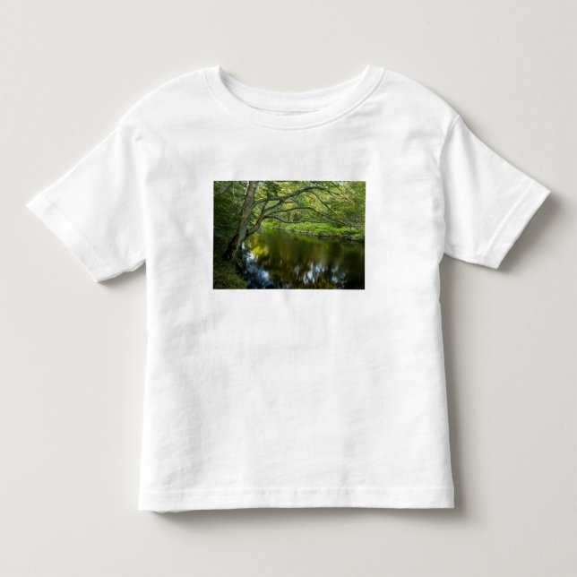 T-shirts O rio Taunton em Bridgewater, 2 (Frente)