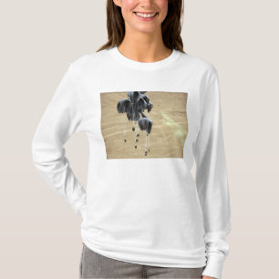 T-shirts O sistema de entrega do recipiente empacota o