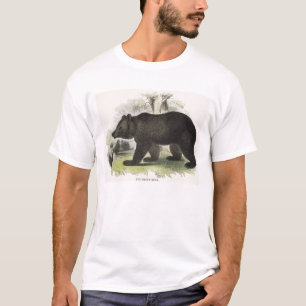 T-shirts O urso de Brown, bar educacional da ilustração.