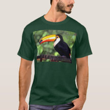Obscuridade de "Toucan"