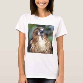 T-shirts Olhar do Falcom