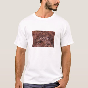 T-shirts Olhar fixo da chita