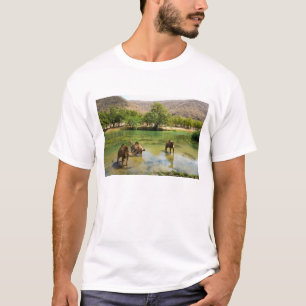 T-shirts Omã, Wadi darbat