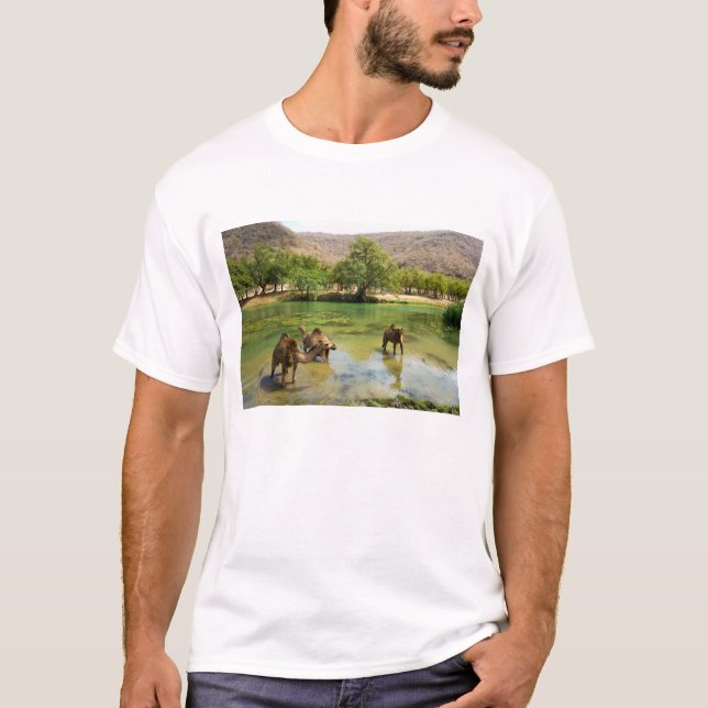 T-shirts Omã, Wadi darbat (Frente)