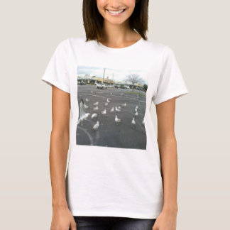T-shirts Onde a praia para as gaivotas