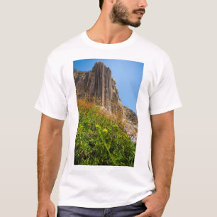 T-shirts Opinião a água do EL de Hierve, Oaxaca, México