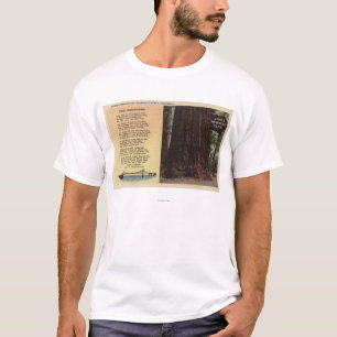 T-shirts Opinião a sequóia vermelha das pistas lisa